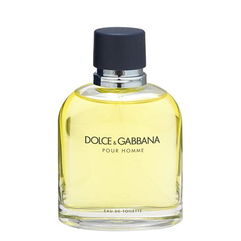 short homme dolce gabbana|dolce gabbana pour homme 125ml.